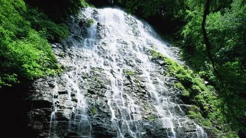 高效稳定性高性能